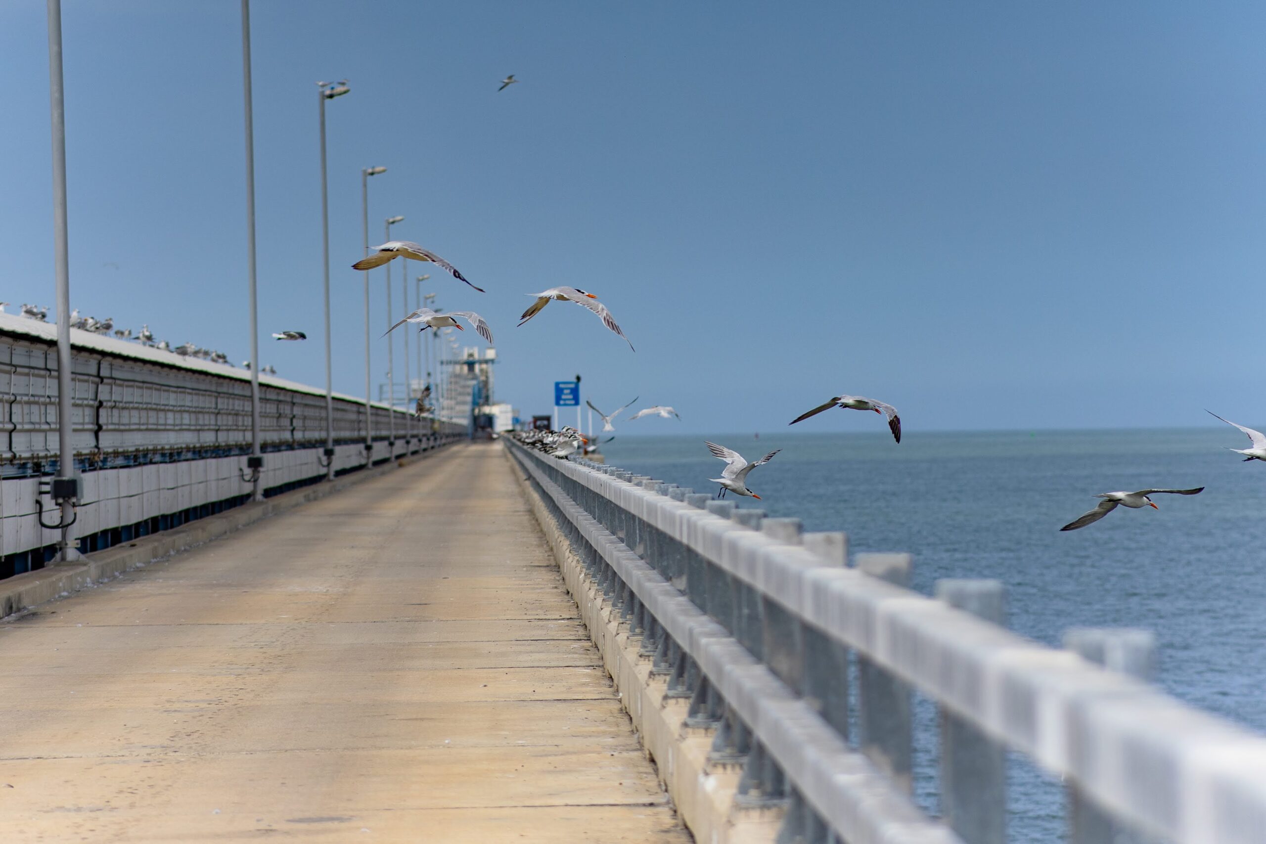 Puerto y Medio Ambiente